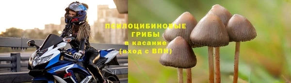спайс Алзамай