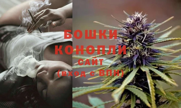 прущие крисы Нефтекумск