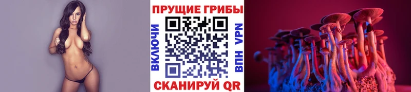 Псилоцибиновые грибы ЛСД  мега ССЫЛКА  Домодедово 